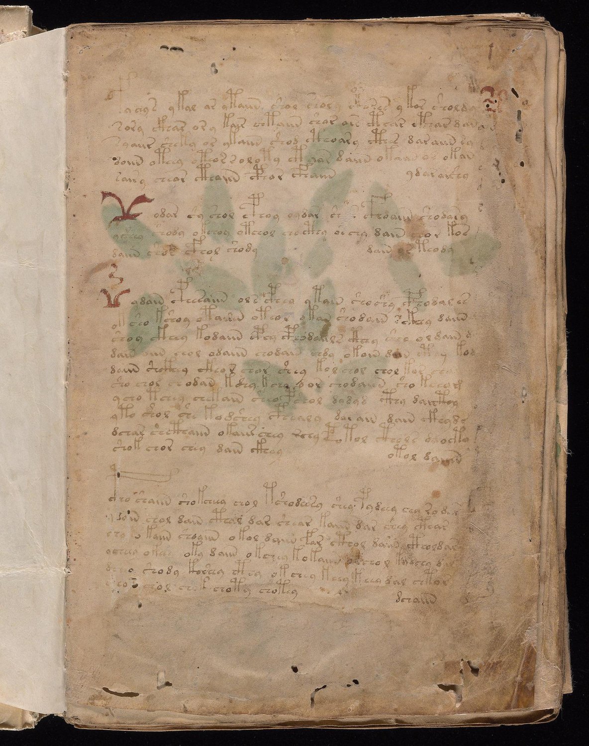 Herbal Page 1